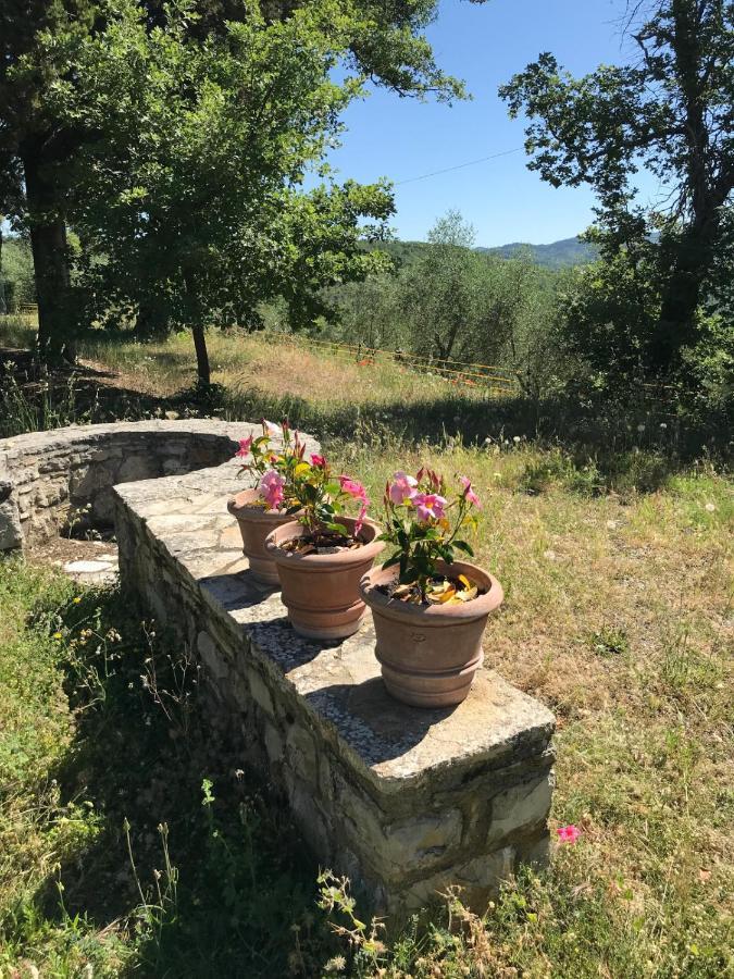 Villa Casanova Di Ricavo Gaiole in Chianti Exterior foto