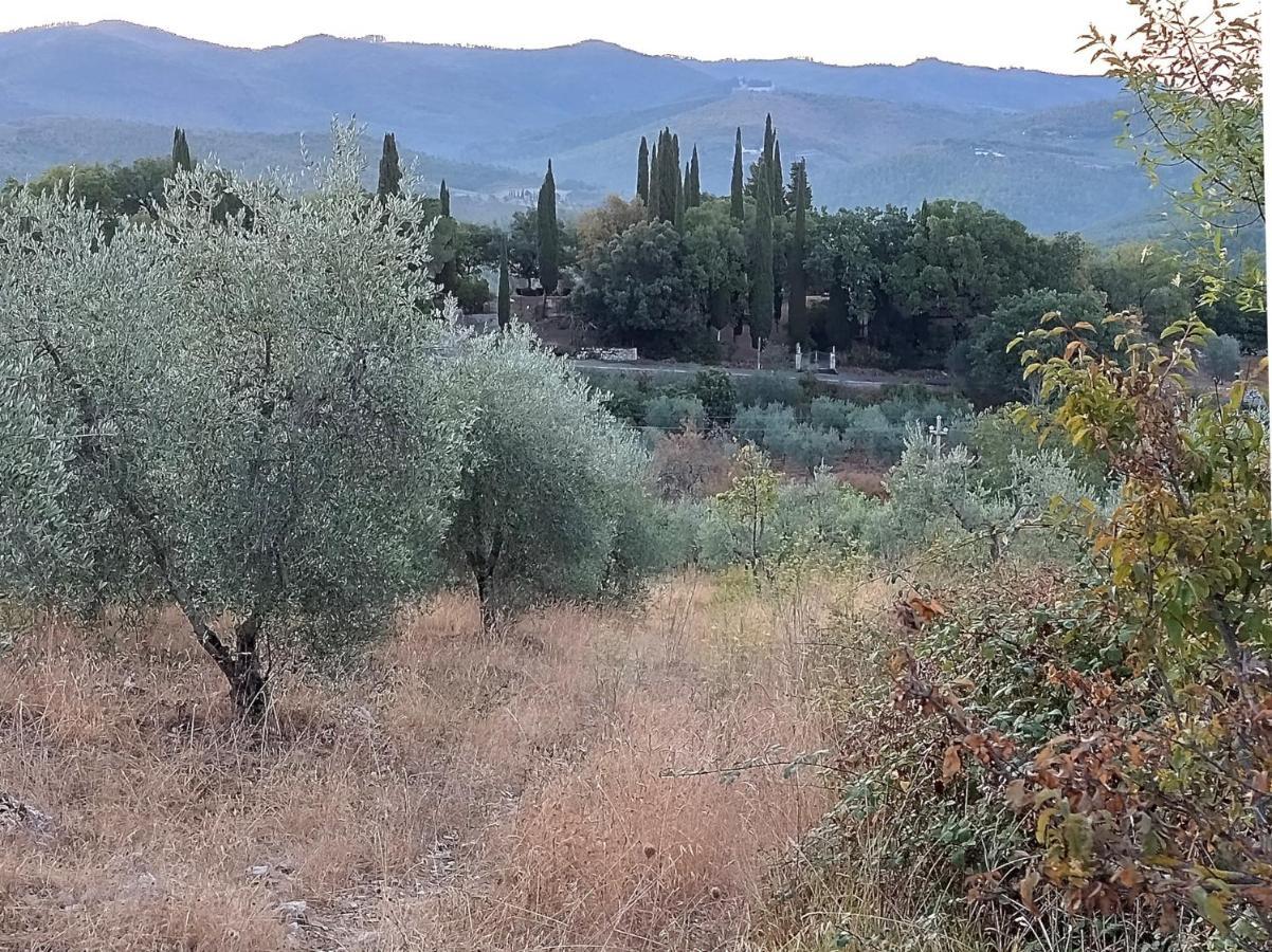 Villa Casanova Di Ricavo Gaiole in Chianti Exterior foto